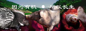 貫徹落實(shí)《網(wǎng)絡(luò )安全法》