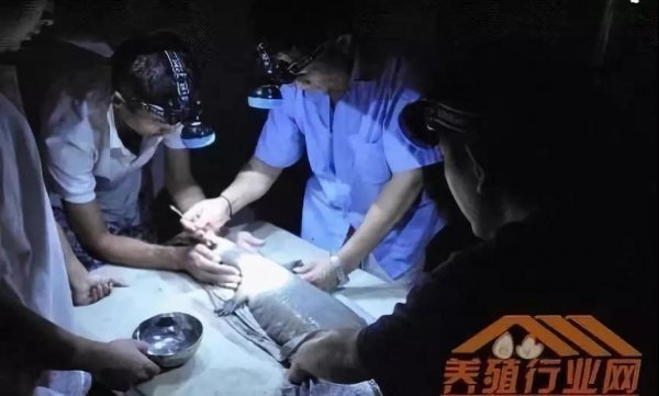資本試水區塊鏈生物科技+大健康，場(chǎng)景應用時(shí)代已然來(lái)臨！
