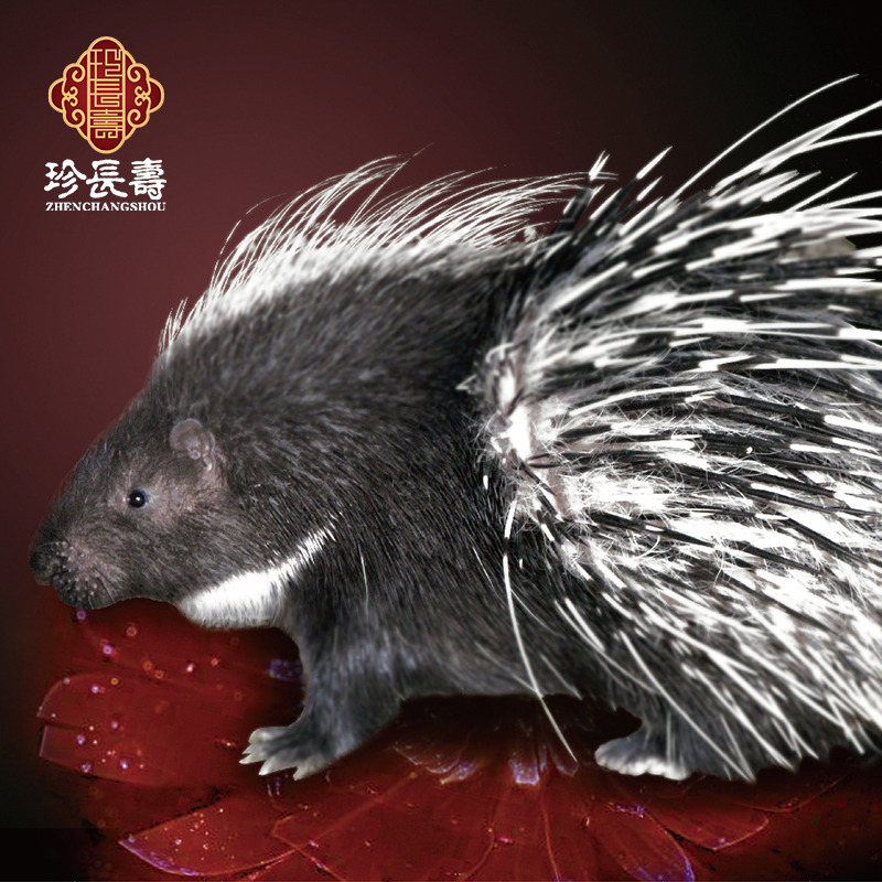 【有機認證】周身是寶，不是豬的“豬”（長(cháng)生淀基地年產(chǎn)量1萬(wàn)頭）